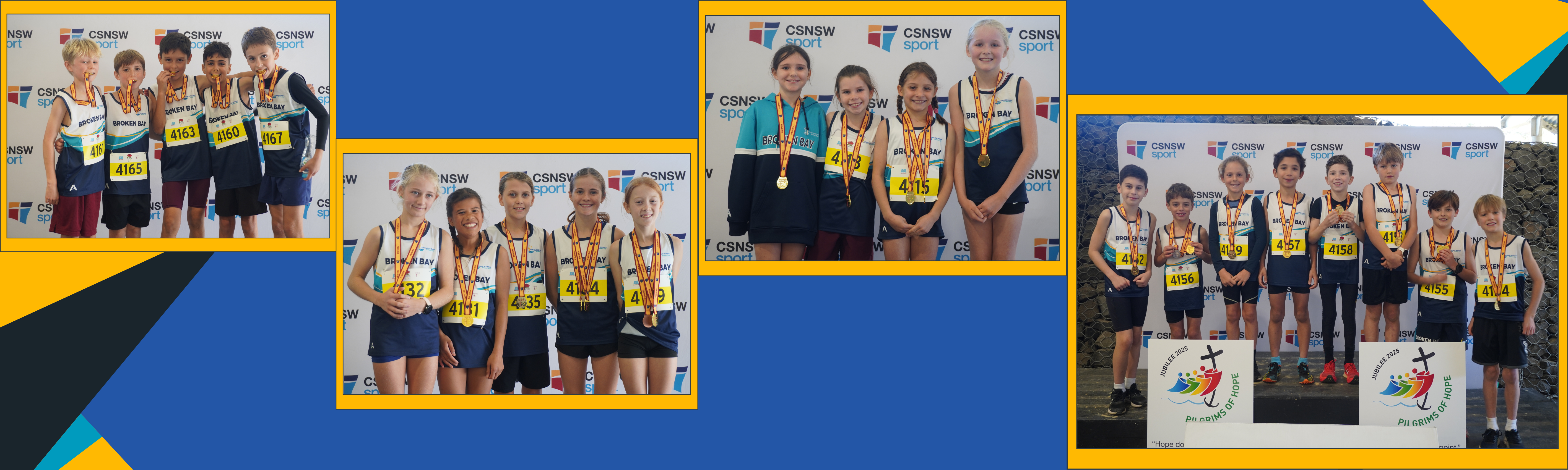 NSWCPS XC Banner 1.png